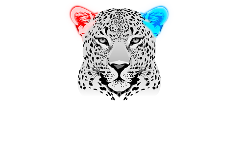 Sound Prospects logo